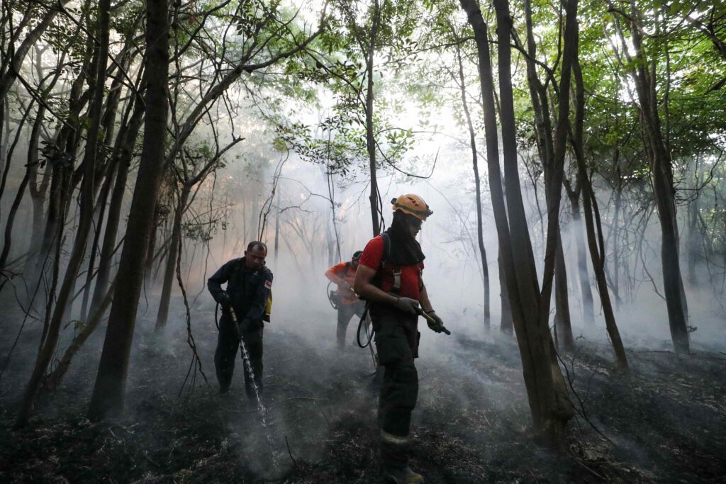 BNDES aprova R$45 milhões do Fundo Amazônia para Bombeiros do Amazonas combater queimadas