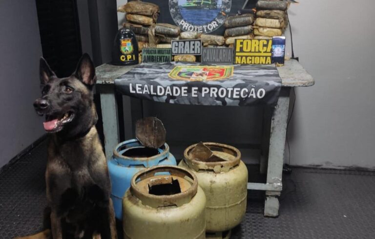 Skunk é encontrado em botijas de gás e Base Arpão 2 causa prejuízo milionário ao tráfico em Coari
